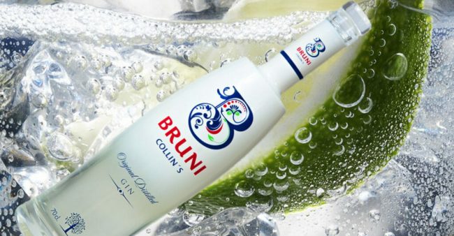 Gin Bruni Collin´s Diseño web